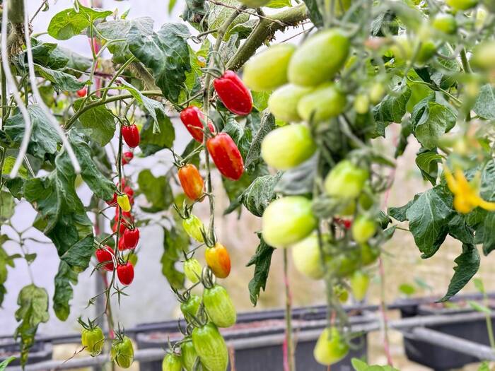 2024戶外參訪圖片